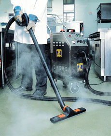 Steam Cleaners For Hire Diy It With Hss Hire